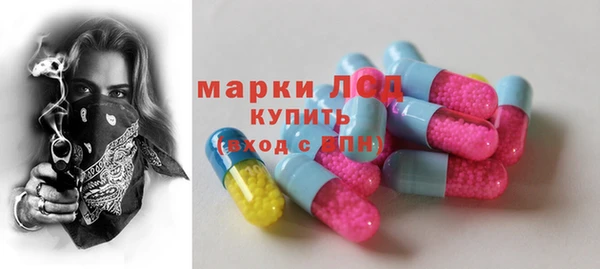 индика Краснотурьинск
