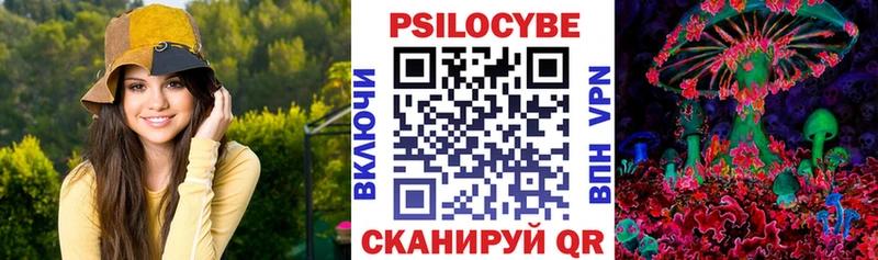 купить наркотики сайты  Трубчевск  Галлюциногенные грибы GOLDEN TEACHER 