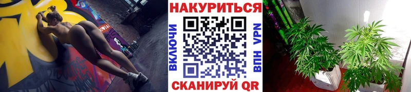 МАРИХУАНА сатива  Трубчевск 